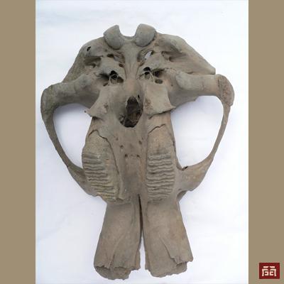 Neolithic like upper jaw